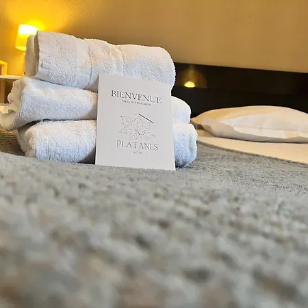 Platanes - Kb Group Hotel Etauliers